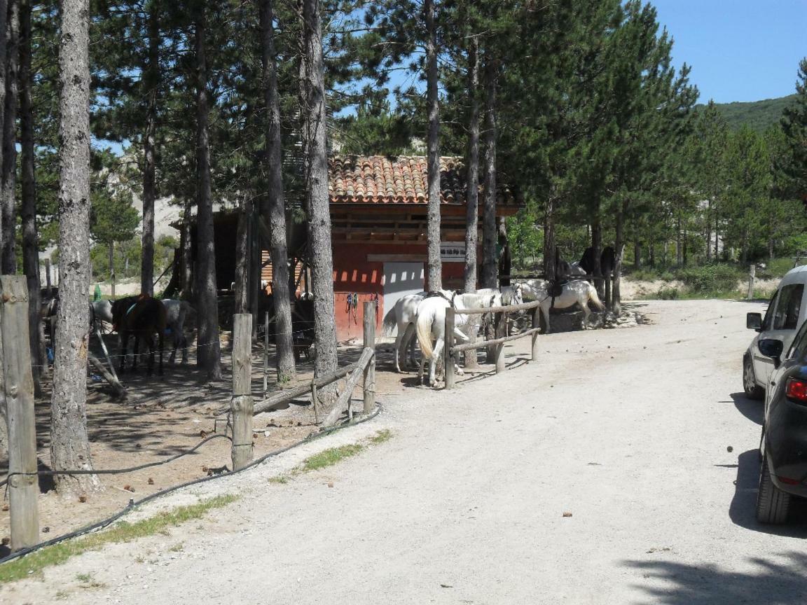 شقة Bienvenidos A Vuestra Casa! Sansoáin المظهر الخارجي الصورة